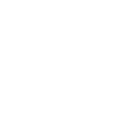 SDVOSB-2